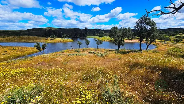 Finca rústica de 155 ha en venta en Córdoba