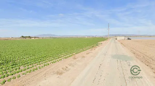 Finca agrícola de 44,4 ha en venta en Murcia