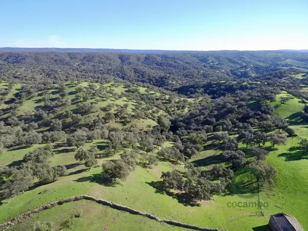 Finca rústica de 312 ha en venta en Sevilla