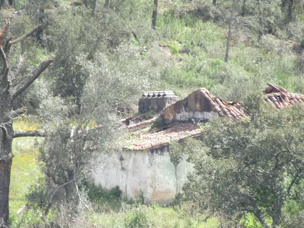 House of 10 ha for sale in Santarém