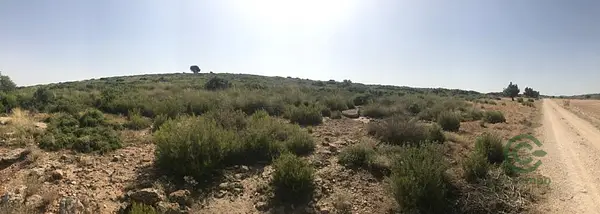 Finca cinegética de 600 ha en alquiler en Albacete