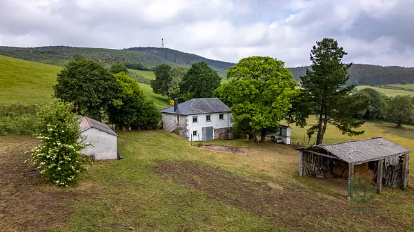 Finca rústica de 11,2942 ha en venta en Friol, Lugo