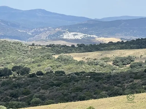 Finca rústica de 123 ha en venta en Cádiz