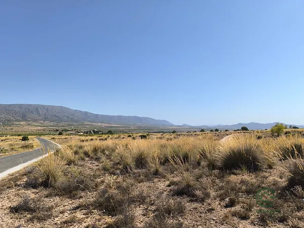 Finca rústica de 2,3472 ha en venta en Pinoso, Alicante