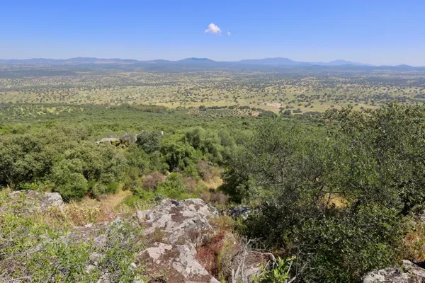 Finca rústica de 500 ha en venta en Badajoz