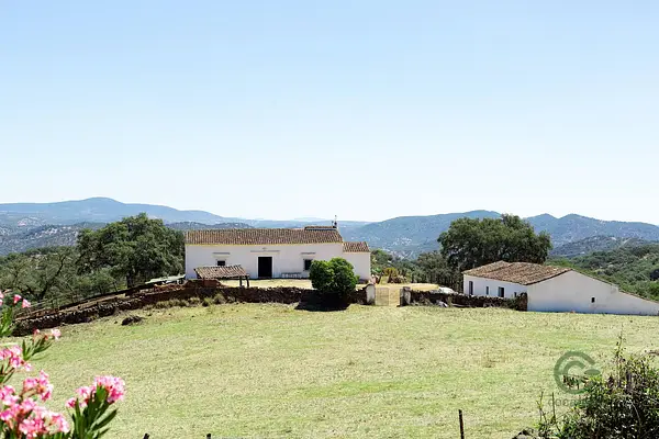 Finca rústica de 183 ha en venta en Huelva