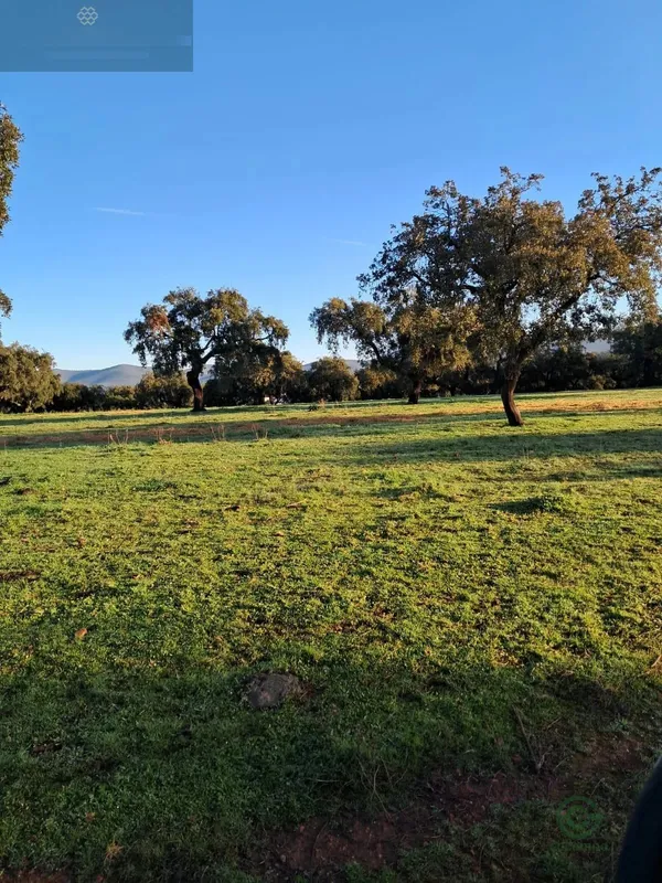 Finca rústica de 8,5 ha en venta en Carmonita, Badajoz