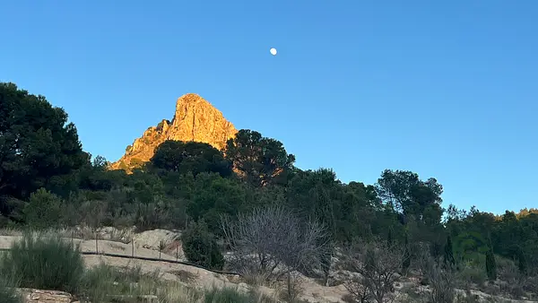 Finca rústica de 130 ha en venta en Jaén