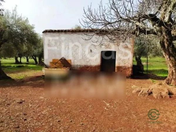 Finca rústica de 2,91 ha en venta en Fuentes de león, Badajoz