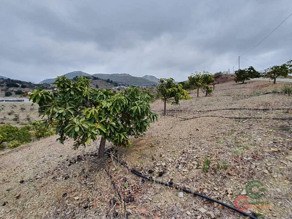 Finca rústica de 1,75 ha en venta en Itrabo, Granada