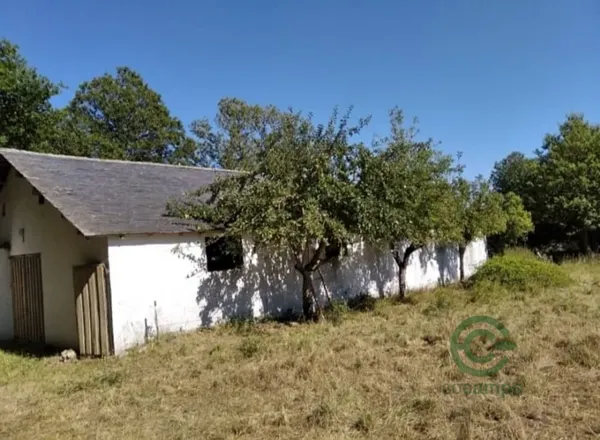 Finca ganadera de 1 ha en venta en Orense