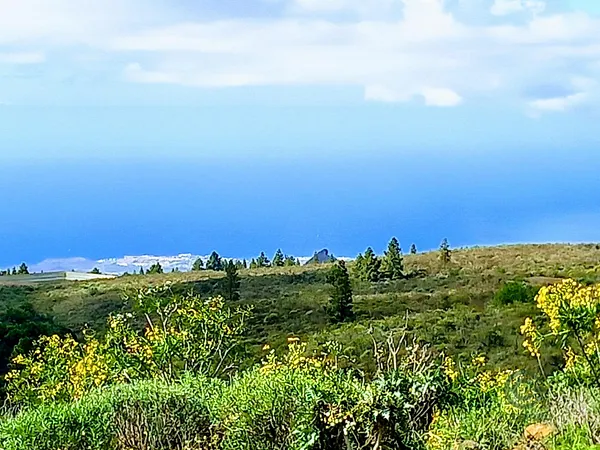 Finca rústica de 3,4471 ha en venta en Vilaflor, Santa cruz de tenerife