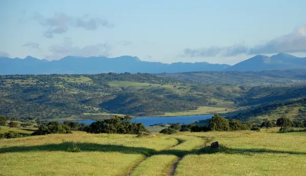 Finca rústica de 2500 ha en venta en Badajoz