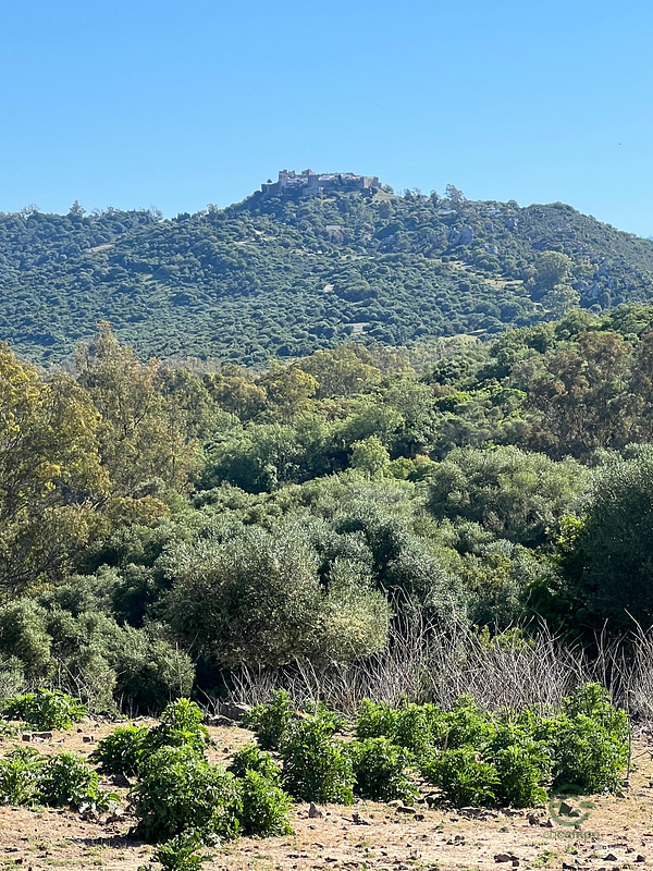 Finca rústica de 28 ha en venta en Cádiz
