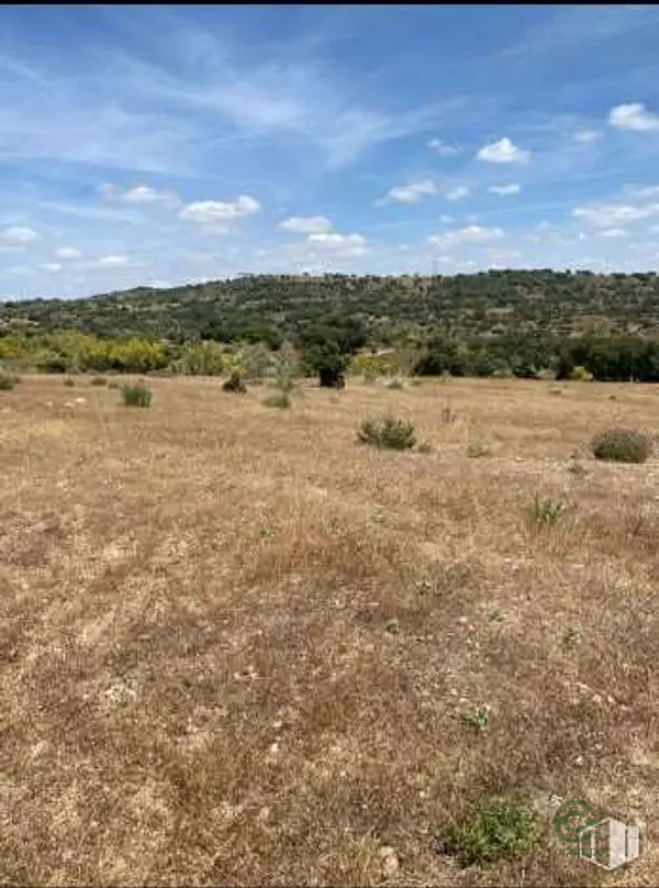 Finca rústica de 40 ha en venta en Madrid