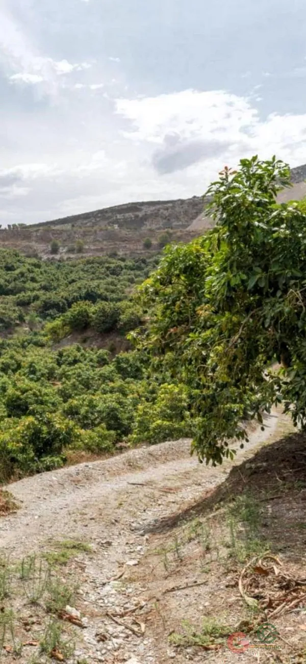 Finca rústica de 3 ha en venta en Motril, Granada