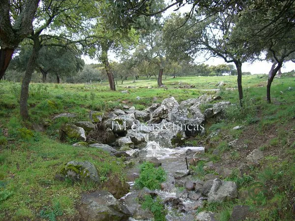Finca rústica de 33 ha en venta en Ronda, Malaga