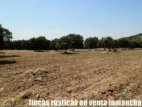 Finca rústica de 118 ha en venta en Guadalajara