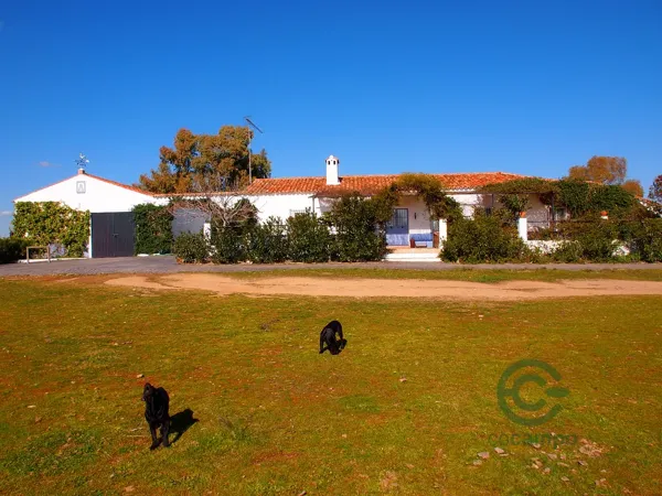 Finca rústica de 270 ha en venta en Huelva