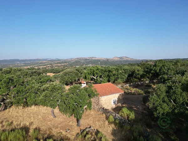 Finca rústica de 7 ha en venta en Badajoz