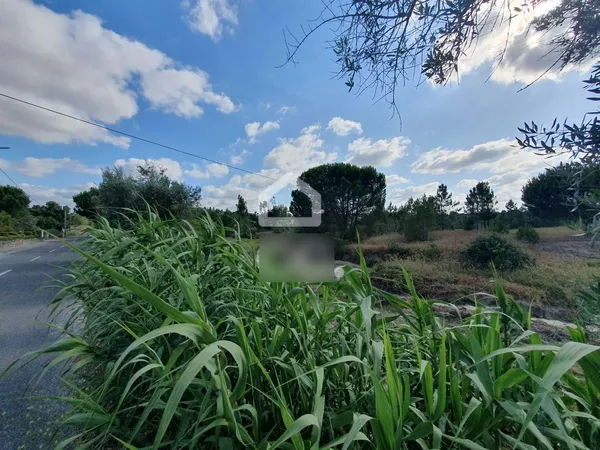 Finca rústica de 3,883 ha en venta en Coruche, Santarém