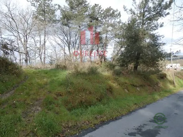 Terreno urbano de 0,1257 ha en venta en Pereiro de aguiar, Orense