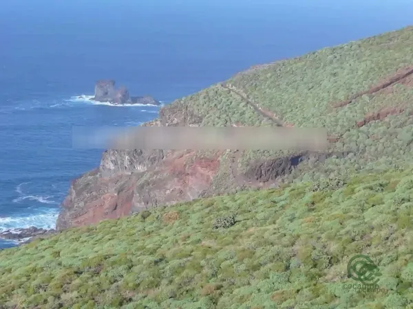 Finca de recreo de 17,6759 ha en venta en Tricias, las, Santa cruz de tenerife