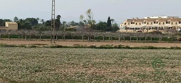 Terreno urbano de 1,37 ha en venta en Elche pedanias, Alicante