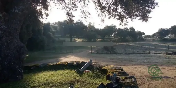 Finca rústica de 42 ha en venta en Parrillas, Toledo