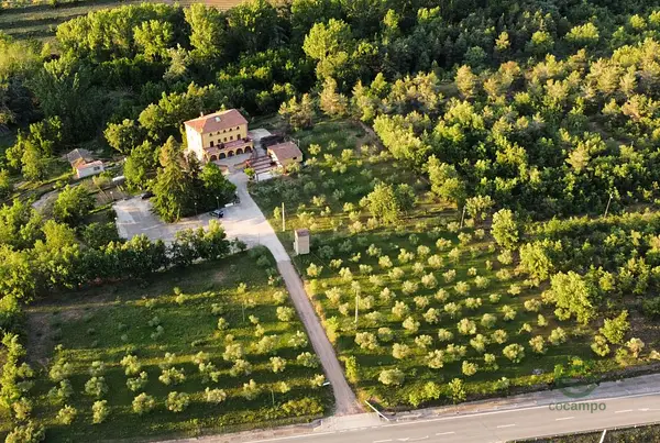 Finca rústica de 6 ha en venta en Tarragona