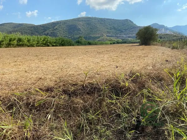 Finca agrícola de 3 ha en venta en Valencia