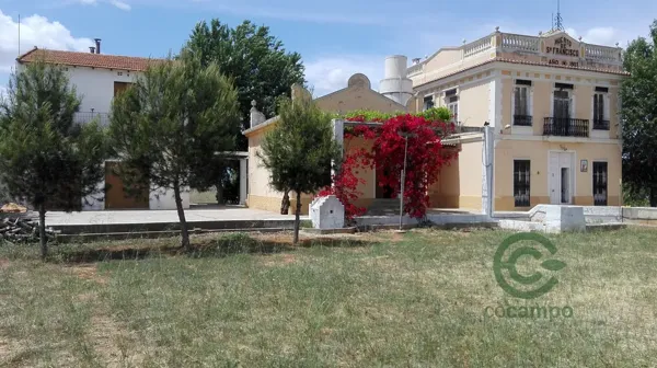 Finca rústica de 4 ha en venta en Valencia