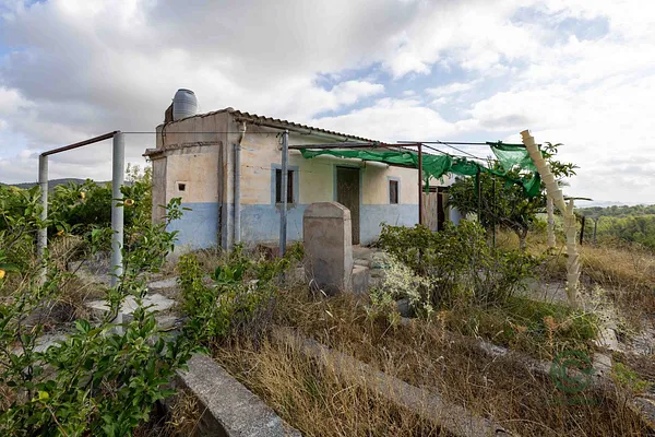Finca agrícola de 18 ha en venta en Mula, Murcia