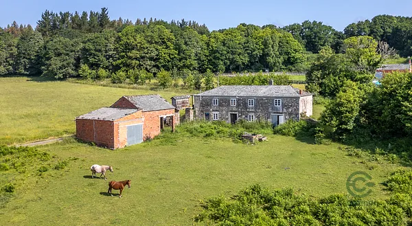 Finca rústica de 0,4117 ha en venta en Villalba, Lugo