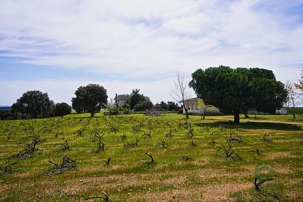 Finca rústica de 37,2826 ha en venta en Topas, Salamanca