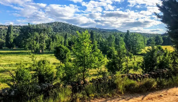 Finca rústica de 400 ha en venta en Soria