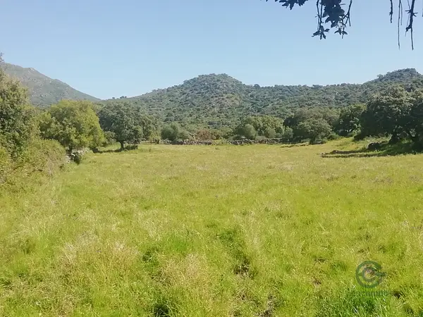 Finca rústica de 0,53 ha en venta en Cáceres