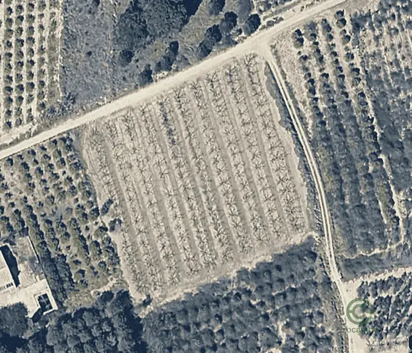 Finca agrícola de 0,93 ha en venta en Valencia