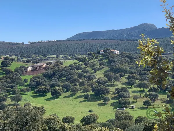 Finca rústica de 350 ha en venta en Garbayuela, Badajoz