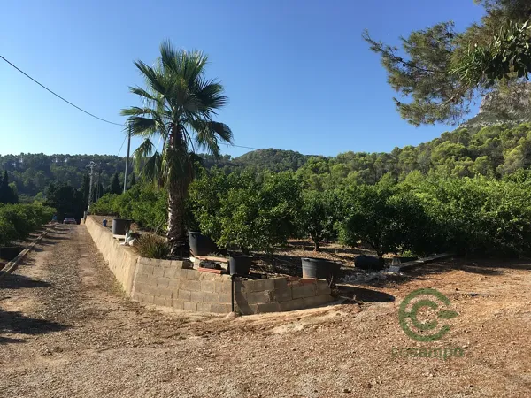 Finca rústica de 3 ha en venta en Valencia