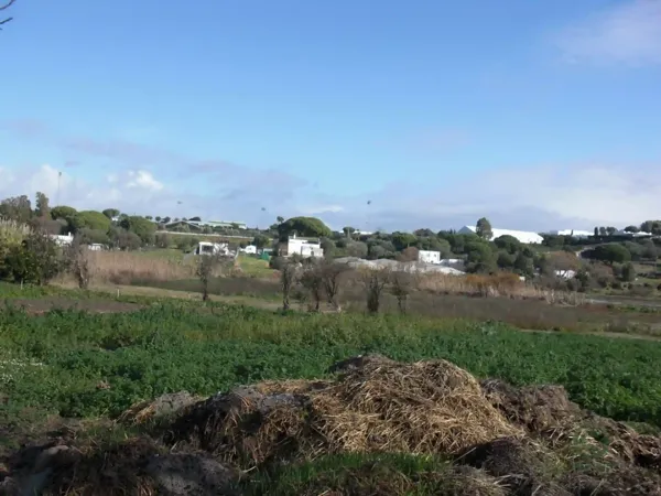 Finca agrícola de 1 ha en venta en Vejer de la frontera, Cadiz