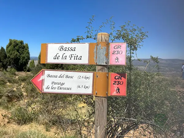 Finca rústica de 13 ha en venta en Castellón