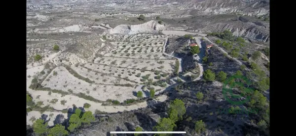Finca forestal de 3 ha en venta en Murcia
