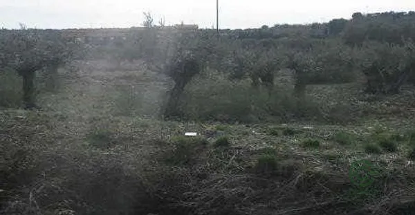 Terreno urbano de 2,928 ha en venta en Cabanillas del campo, Guadalajara