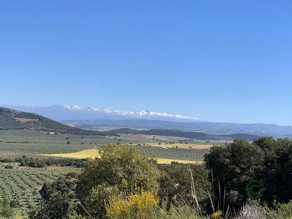Finca agrícola de 321 ha en venta en Jaén