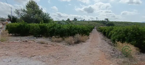 Finca agrícola de 7,25 ha en venta en Valencia