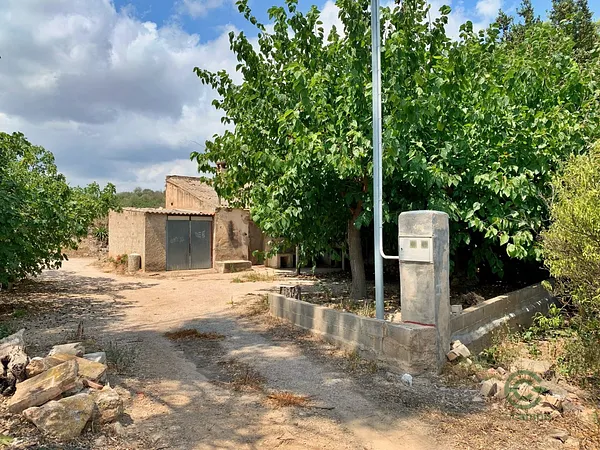 Finca agrícola de 19,8 ha en venta en Roquetes, Tarragona