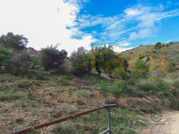 Finca agrícola de 0,516 ha en venta en Cartagena, Murcia