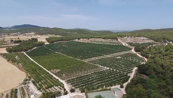 Finca rústica de 289 ha en venta en Alicante
