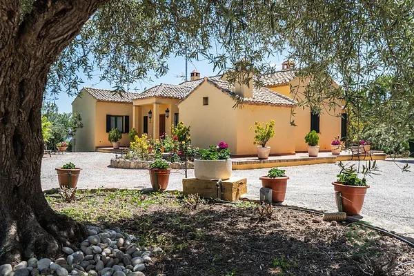 Finca rústica de 4 ha en venta en Chinchon, Madrid